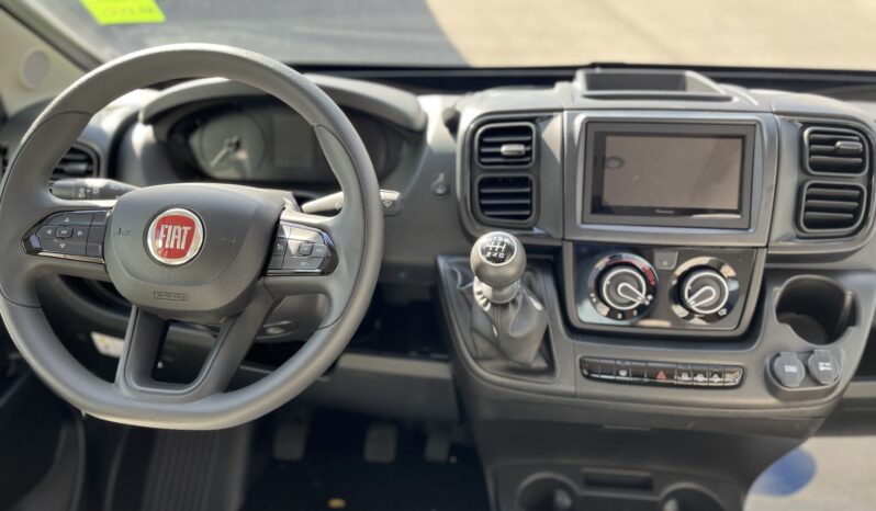 Rapido 666F con basculante pieno