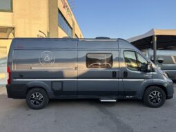 Dreamer D 55 Select Saphir pieno