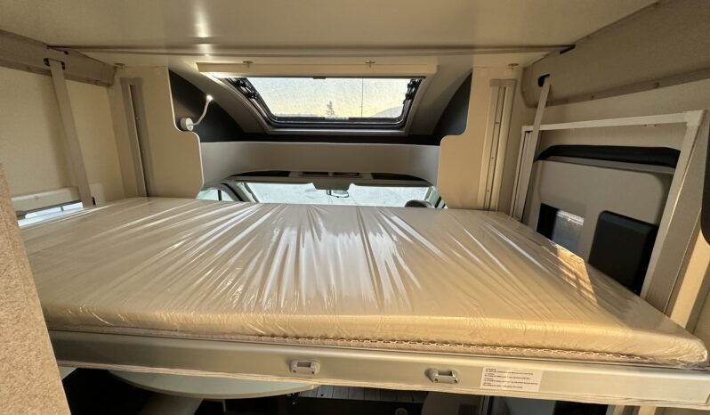 Mc Louis SLIM 339 NOVITA’ 2026 pieno