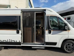 Malibu Diversity 600 DB K pieno