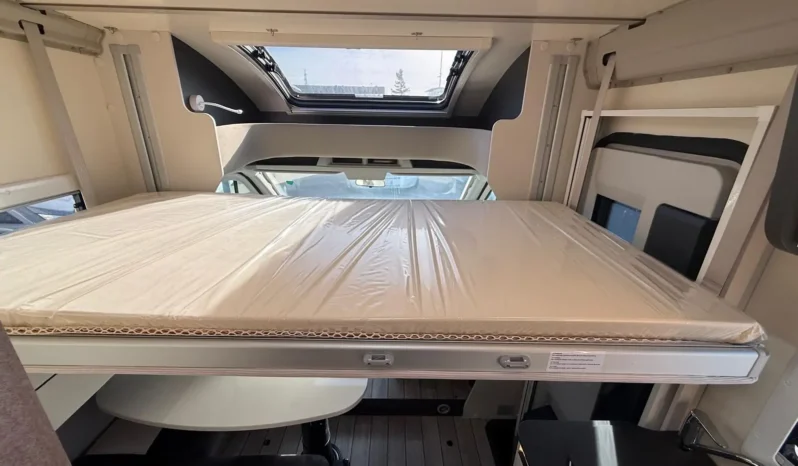 McLouis Slim 331 pieno