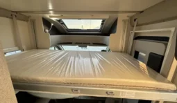 McLouis Slim 339 pieno