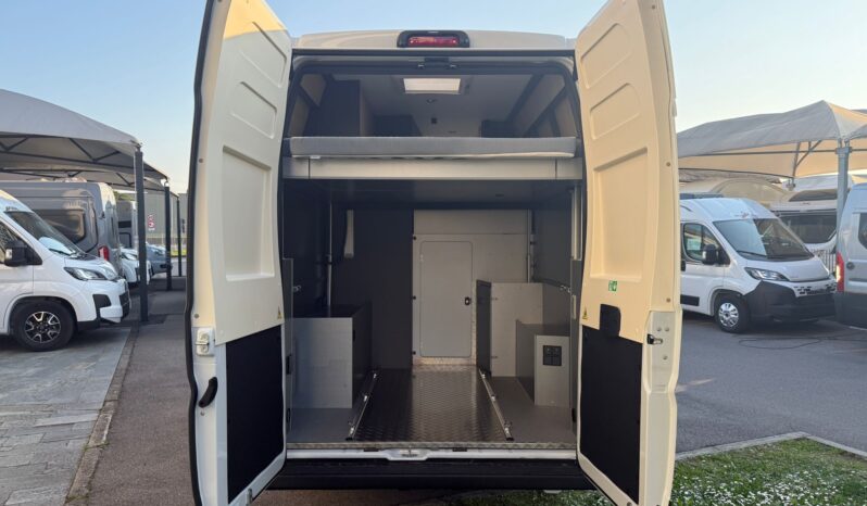 Dreamer Camper Sport Fun pieno