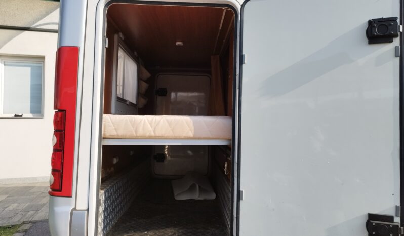 McLouis Tandy 640 pieno