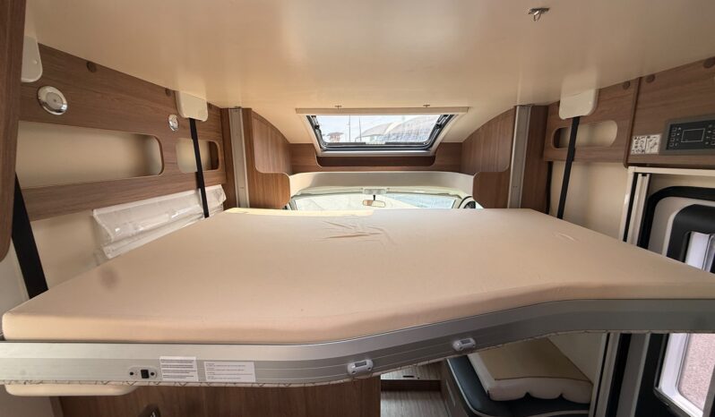 Elnagh Baron 573 pieno
